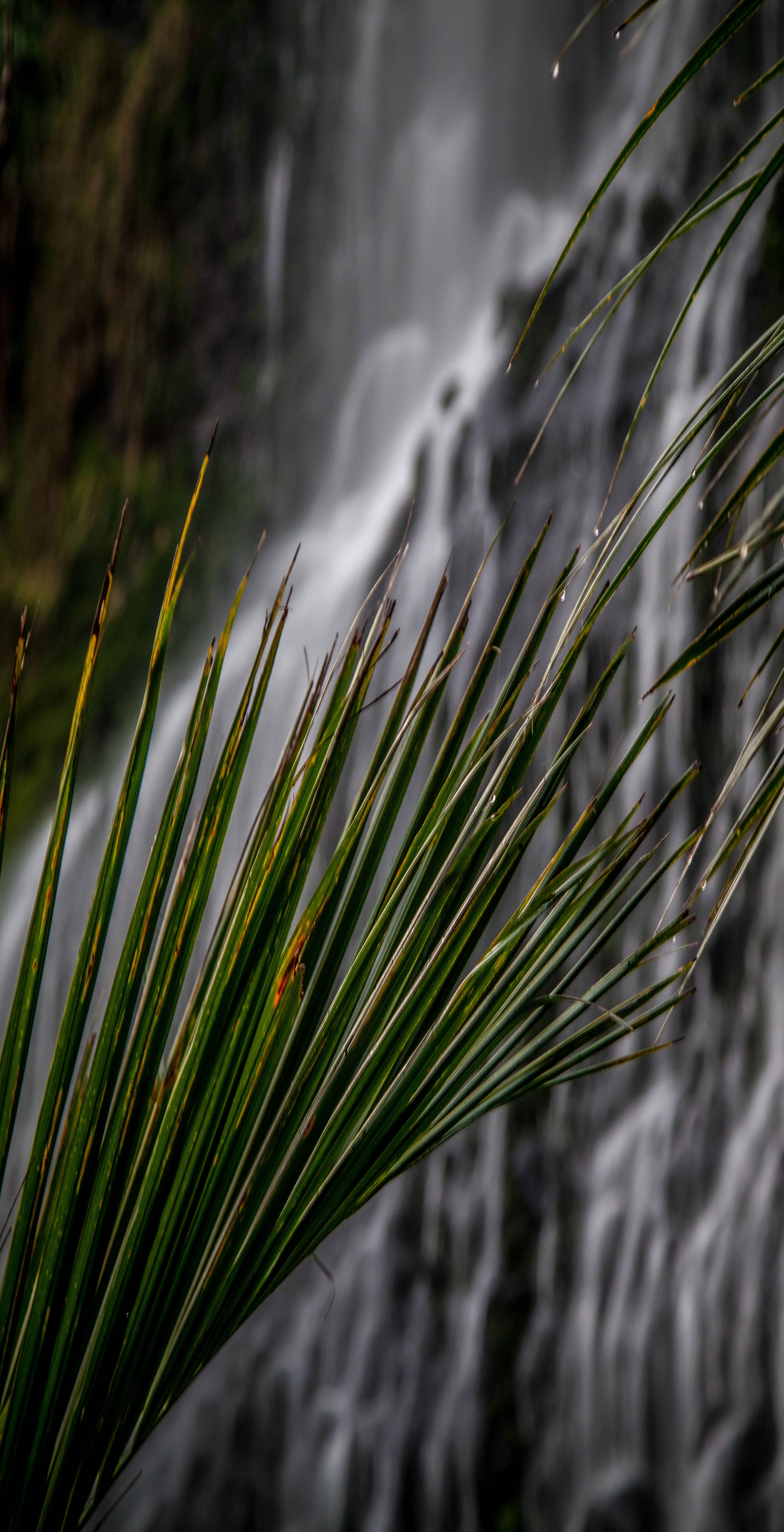 GREEN SHOT JPEGS LOW RES (5 of 5)