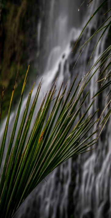 GREEN SHOT JPEGS LOW RES (5 of 5)